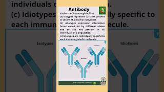 shorts biologyshorts variantsofimmunoglobulin antibody isotype allotype idiotype viralshorts [upl. by Ellekcir]