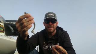 FLW Tour Pro Aaron Britt on the 6th Sense Divine Swimbait Jig Head [upl. by Calia571]