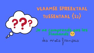 1637 JE NE COMPRENDS PAS LES FLAMANDS 😰 VLAAMSE SPREEKTAAL  TUSSENTAAL 12 🇧🇪 pour CÉSAR ❤️ [upl. by Gillett]