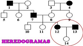 HEREDOGRAMAS  Exercícios e Dicas [upl. by Rae]