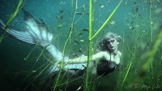 MERMAID SWIMMING WITH FISH THROUGH SEAWEED a freshwater underwater mermaid video  Mermaid Phantom [upl. by Rentschler]