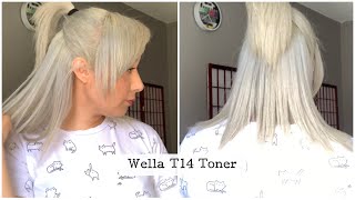 Toning hair with Wella T14 [upl. by Vaientina]