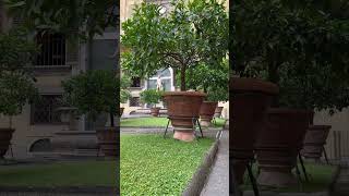 Peaceful garden in Medici Palace florence medicifamily italytravel europe 15thcentury art 绿色 [upl. by Neliac]