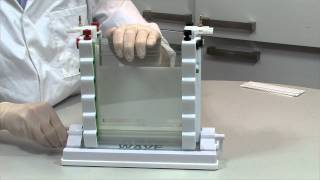 How To Cast and Run a Polyacrylamide Gel In The Wave Maxi Vertical [upl. by Nilorac261]