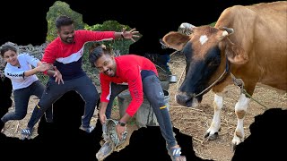 Our New Job in கிராமம் 🐄😃 Village Series 3  Hussain Manimegalai [upl. by Okkin995]