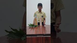 Sabarish Karthik Raman Awards Stage 2 2024  Potometer model [upl. by Amyaj]