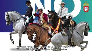 XXXIV Festival Internacional do Cavalo Lusitano 2023 Clip [upl. by Glennie791]