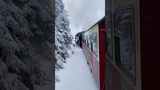 The most beautiful train ride in Germany 🚂 Brockenbahn ❤️ train harz germany brockenbahn [upl. by Tuck]