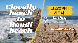 시드니 코스탈워킹  Clovelly beach To Bondi beach 왕복 [upl. by Ardekahs]