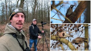 🎥Den Waldvögeln auf der Spur🌲 🌳🐦 EOS 90D  Tamron 150600mm G2 [upl. by Odie]