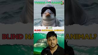 😨How Dolphin 🐬 saves Ganga 🏞️River🤔 [upl. by Canale]