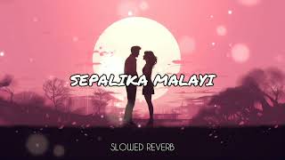 Sepalika Malayi  සේපාලිකා මලයි  Slowed and Reverb   මන්දාරමෙන් එහා  MindLk Slowed [upl. by Vieva]