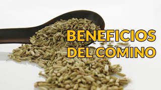 Beneficios del Comino [upl. by Ishmul995]