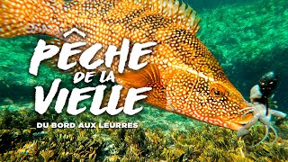 La pêche de la vieille depuis le bord aux leurres souples [upl. by Angelico]