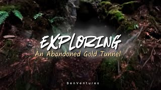 Exploring an Abandoned Gold Tunnel  Harrison Lake [upl. by Afatsum]