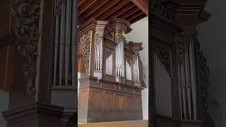 🎹 Órgão 🪨 Felsenkirche 🇩🇪 IdarOberstein [upl. by Osugi908]