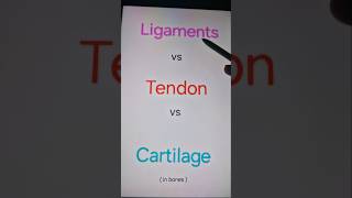 Difference between ligaments tendon and cartilage in bones [upl. by Fadiman]