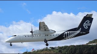 De Havilland Canada Dash 8300 landing into Wellington [upl. by Nalrah]