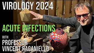 Virology Lectures 2024 16 Acute Infections [upl. by Sassan]