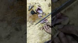 amezing chicken cutting skillstelangana telangana chicken streetfood cooking [upl. by Aryamoy328]