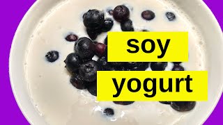 THE BEST SOY YOGURT 🍨Vegan  Probiotic  Plant Based Gluten Free Recipe  HCLF  Easy Fermentation [upl. by Swenson861]