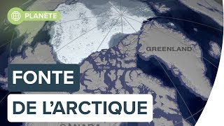 Lévolution de la fonte en arctique de 1984 à 2019  Futura [upl. by Soo348]