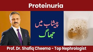 Protein Foam or Jhaag in Urine  Misconceptions amp Reality  Urdu [upl. by Ahsikyw823]