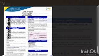 Tarea 4  Metabolismo Anabolismo y Catabolismo [upl. by Ahseile]