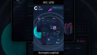 The Crypto Capital [upl. by Osrick]