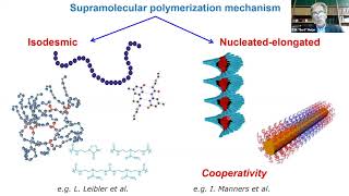 EW Meijer quotFunctional Supramolecular Systems and Materialsquot [upl. by Maida]