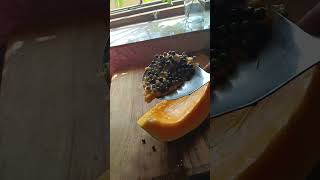 Detox morning shots ytshorts food lopaskitchen [upl. by Atrebor]