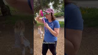 Bubble blowing hack bubbles summervibes [upl. by Nodab]