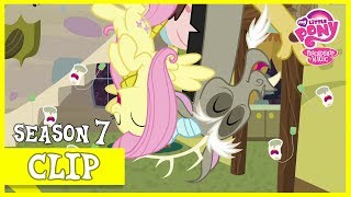 Making Discord Chaotic Again Discordant Harmony  MLP FiM HD [upl. by Essilem75]