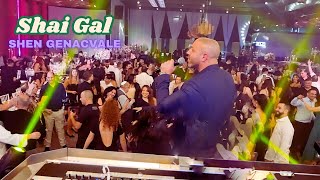 Shai Gal  Shen Genacvale  შაი გალ  შენ გენაცვალე 2024 LIVE FROM WEDDING  BEST WEDDING [upl. by Alletsirhc300]