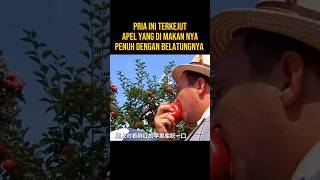 PRIA INI MEMAKAN APEL PENUH BELATUNG alurceritaflim film [upl. by Annehsat]