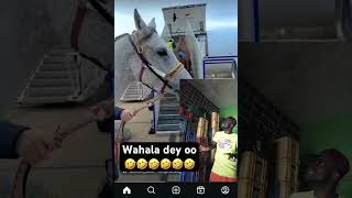 Wahala dey ooo 🤣🤣🤣🤣 fypシ゚viral funny comedymove [upl. by Tandie980]