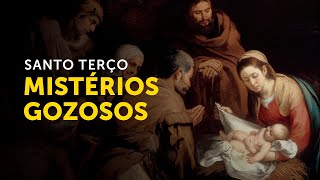 Reze o terço com o Padre Paulo Ricardo Mistérios Gozosos [upl. by Llerad]