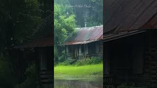 Heavy Rain in a Roof on a Forest rain rainsounds shorts sleep [upl. by Bocaj]