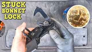 Bonnet Lock Removal Cleaning and Refitting  Volkswagen Polo 9N [upl. by Kloman457]