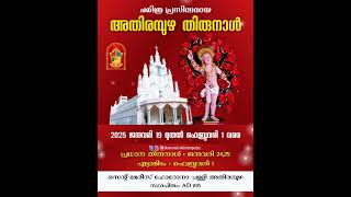 Athirampuzha Thirunnal 2025 Promo video [upl. by Salomone]