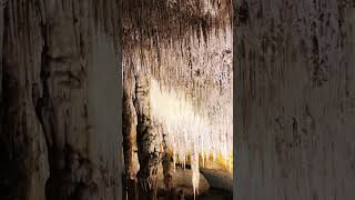 Explore the stunning Caves of Drach CavesOfDrach Mallorca Travel NatureWonder ExploreSpain [upl. by Gibbeon732]