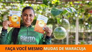 COMO FAZER MUDAS DE MARACUJÁ maracuja [upl. by Perr]