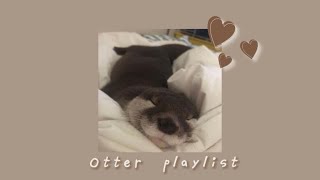 a cute otter playlist to melt your heart [upl. by Nosmoht]