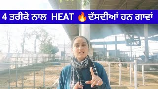 cows mein HEAT aane ke SYMPTOMS ❌♨️👍 [upl. by Nidraj557]