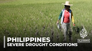 Philippines drought Govt warns El Niño will affect most parts by April [upl. by Peony]