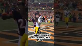 Still can’t believe how Martavis Bryant caught this pass from Roethlisberger [upl. by Esbensen]