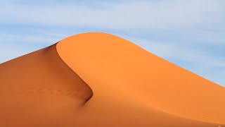 The Sahara desert  Ecosystems [upl. by Aloisia]