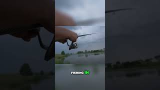 🤩 Baitcaster vs Spinning Reel  Whats Your Best Choice [upl. by Madalyn]