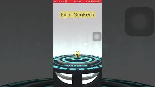 Evolution  Sunkern [upl. by Ssew]