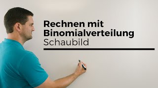 Rechnen mit Binomialverteilung anhand vom Schaubild Stochastik Wahrscheinlichkeit [upl. by Aliuqaj]